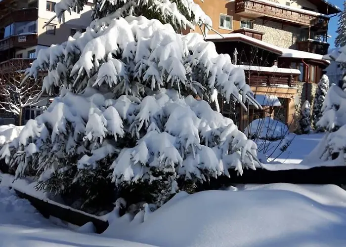 Fine Apartment Brasov